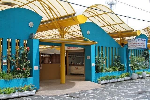 Feira de Artesanato de Pitangueiras: Um Tesouro à Beira-Mar para Amantes da Arte Local